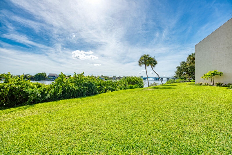 PHOTO - Backyard view 2